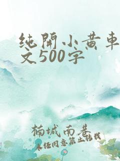 纯开小黄车小短文500字