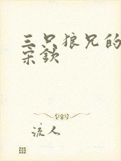 三只狼兄的宠妻宋钦