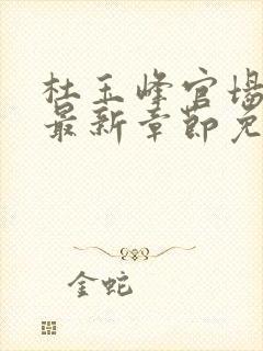 杜玉峰官场小说最新章节免费阅读