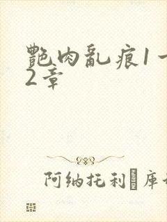 艳肉乱痕1一12章