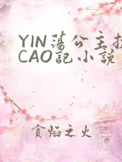 YIN荡公主挨CAO记小说