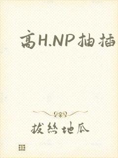 高H.NP抽插