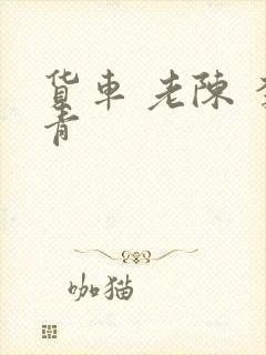 货车 老陈 李青