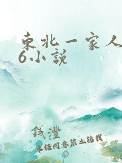 东北一家人1一6小说