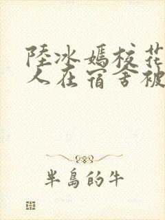 陆冰嫣校花被工人在宿舍被强