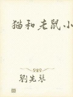 猫和老鼠小说
