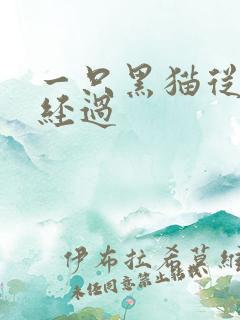 一只黑猫从眼前经过