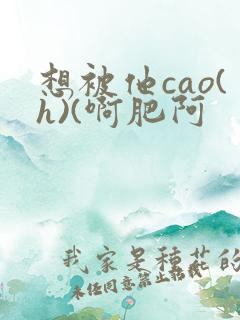 想被他cao(h)(啊肥阿