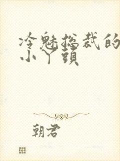 冷魅总裁的纯纯小丫头