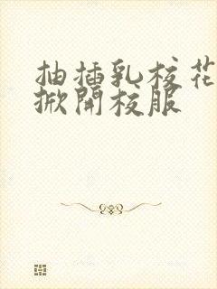 抽插乳校花老师掀开校服