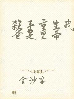 杀手重生我的老爸是皇帝