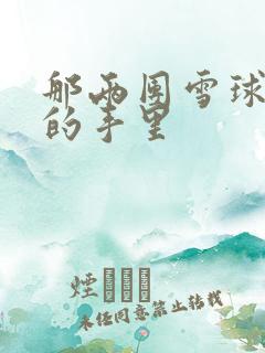 那两团雪球在他的手里