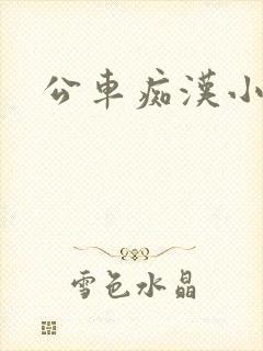 公车痴汉小说