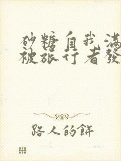 砂糖自我满足时被旅行者发现小说