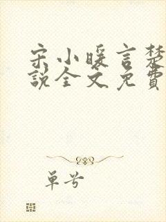 宋小暖言楚行小说全文免费阅读