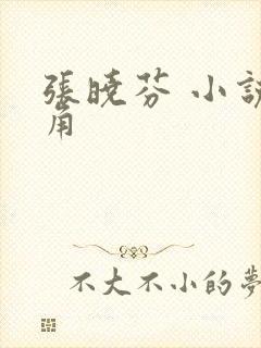 张晓芬 小说主角