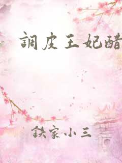 调皮王妃醋王爷