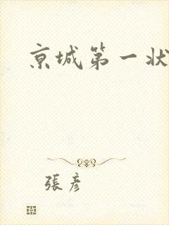 京城第一状师