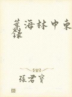 叶海林中东风云录