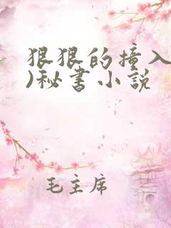 狠狠的撞入(h)秘书小说