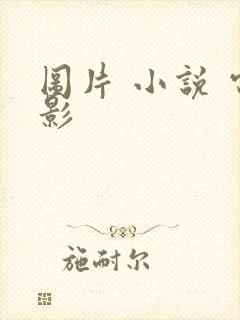 图片 小说 电影