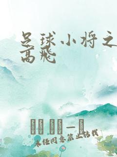 足球小将之展翅高飞