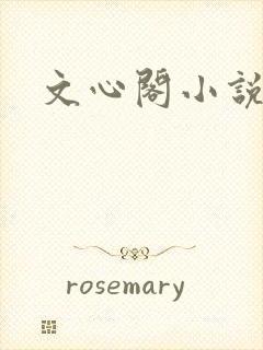 文心阁小说