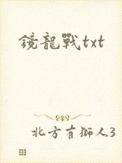 镜龙战txt