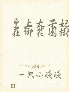 皇上太子妃沈音在御花园树上