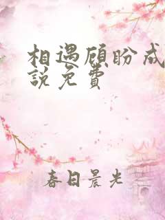 相遇顾盼成欢小说免费