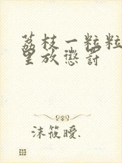 荔枝一粒粒的往里放惩罚