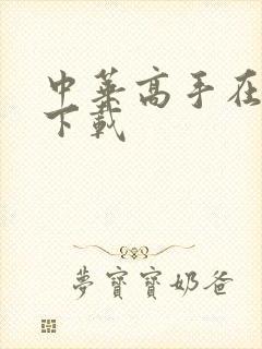 中华高手在异世下载