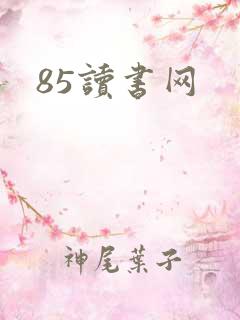 85读书网