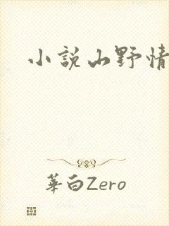 小说山野情债