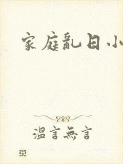家庭乱日小说