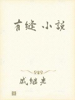 有缝 小说