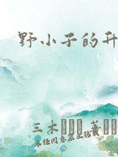 野小子的升官路