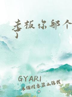 老板你那个太长了