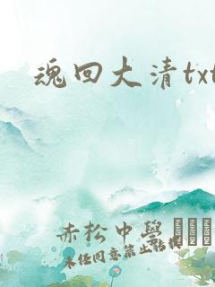 魂回大清txt