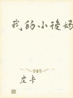 我的小后妈小说
