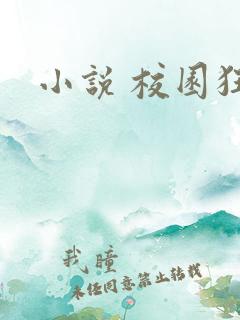 小说 校园狂少