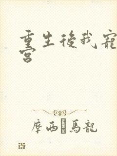 重生后我宠冠东宫