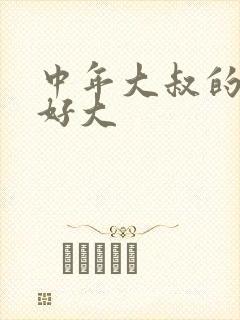 中年大叔的包包好大