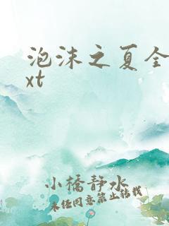 泡沫之夏全集txt