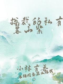 总裁的私有宝贝 暮山紫