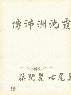 傅沛洲沈霞小说