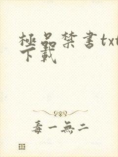 极品禁书txt下载