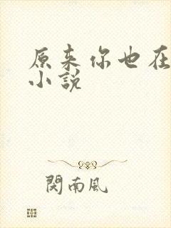 原来你也在这里小说