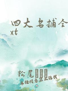 四大名捕全集txt