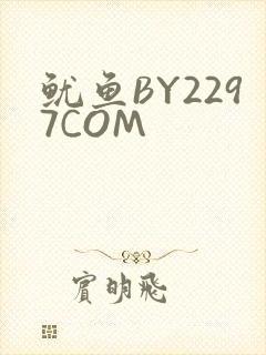 鱿鱼BY2297COM